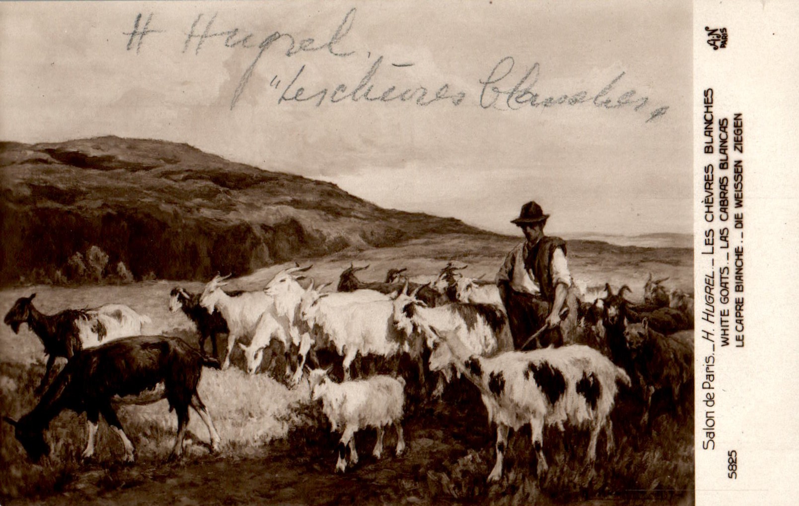 Honoré_Hugrel_COL_3511.001