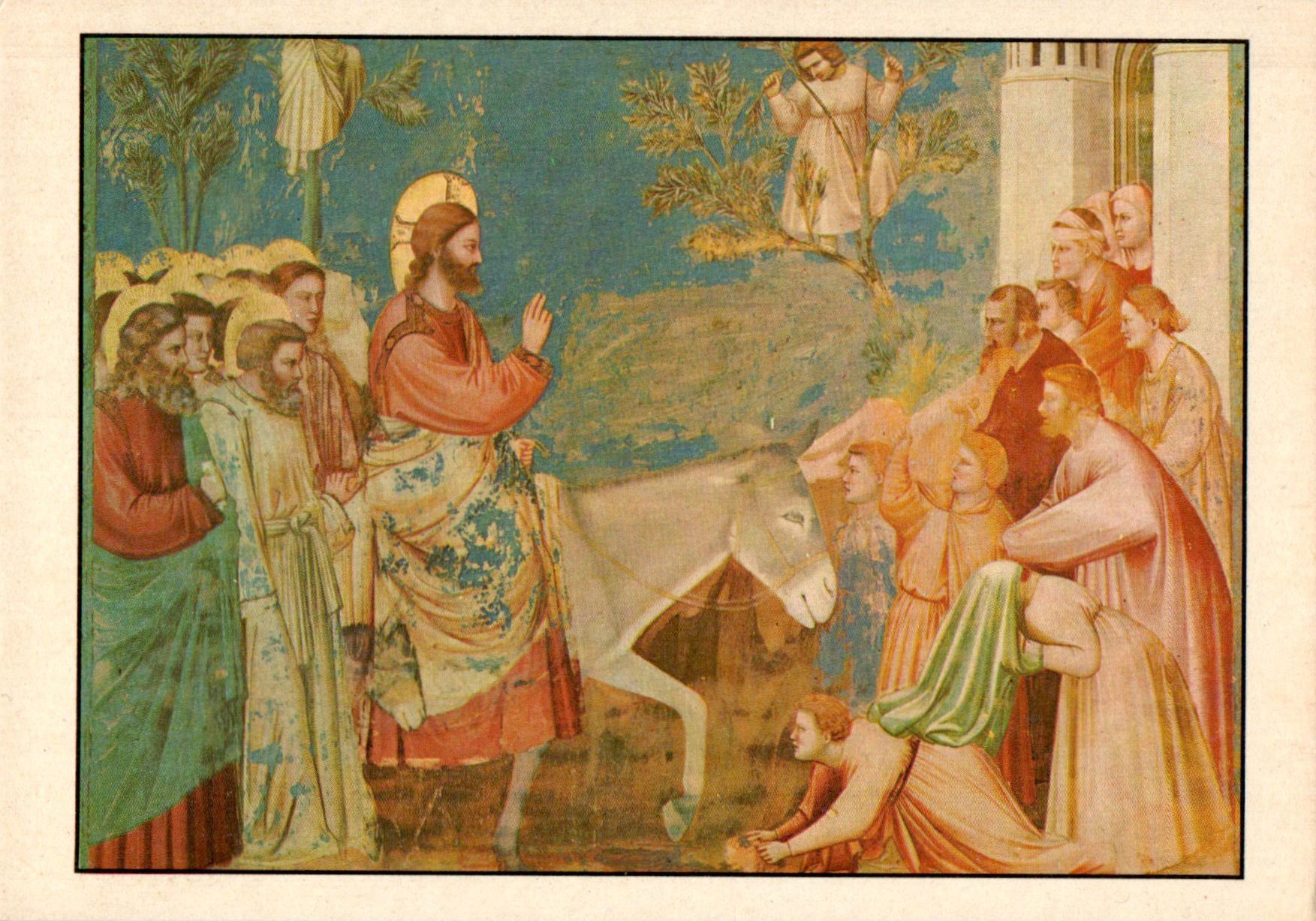 Giotto_di_Bondone_COL_986.014