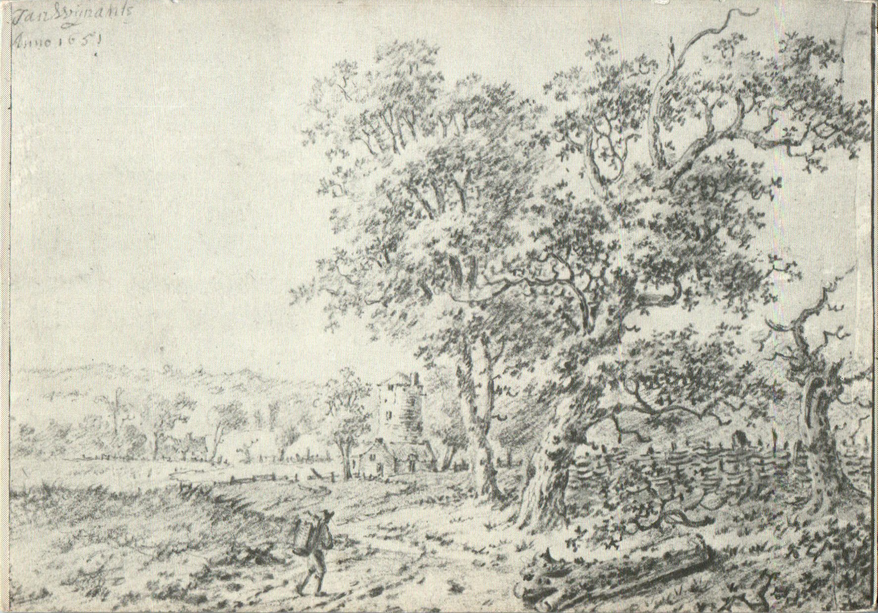 Jan_Wijnants_COL_3074.002