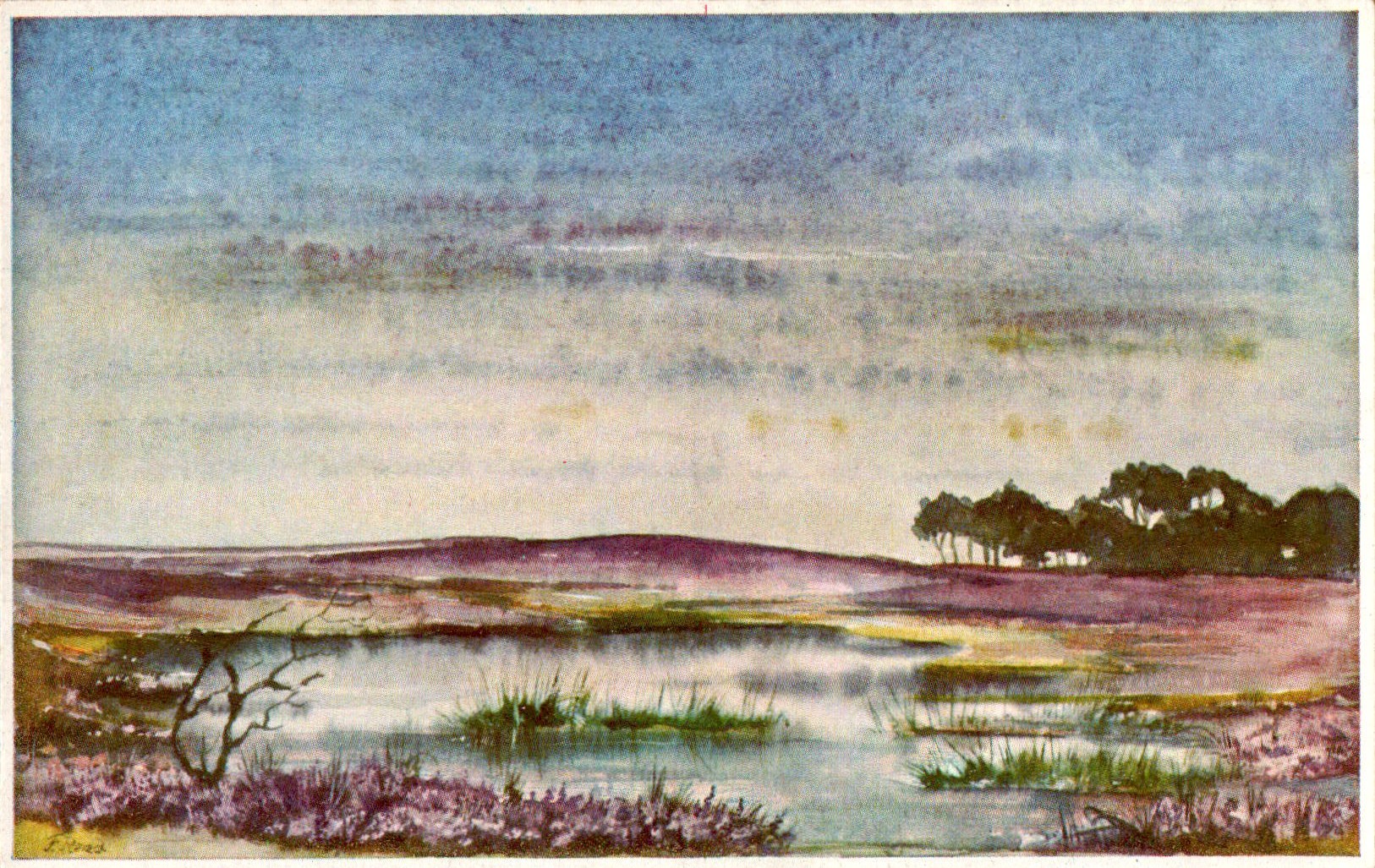 John_Robertson_Reid_COL_3780.002