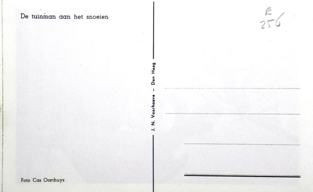 b.5.008.001A